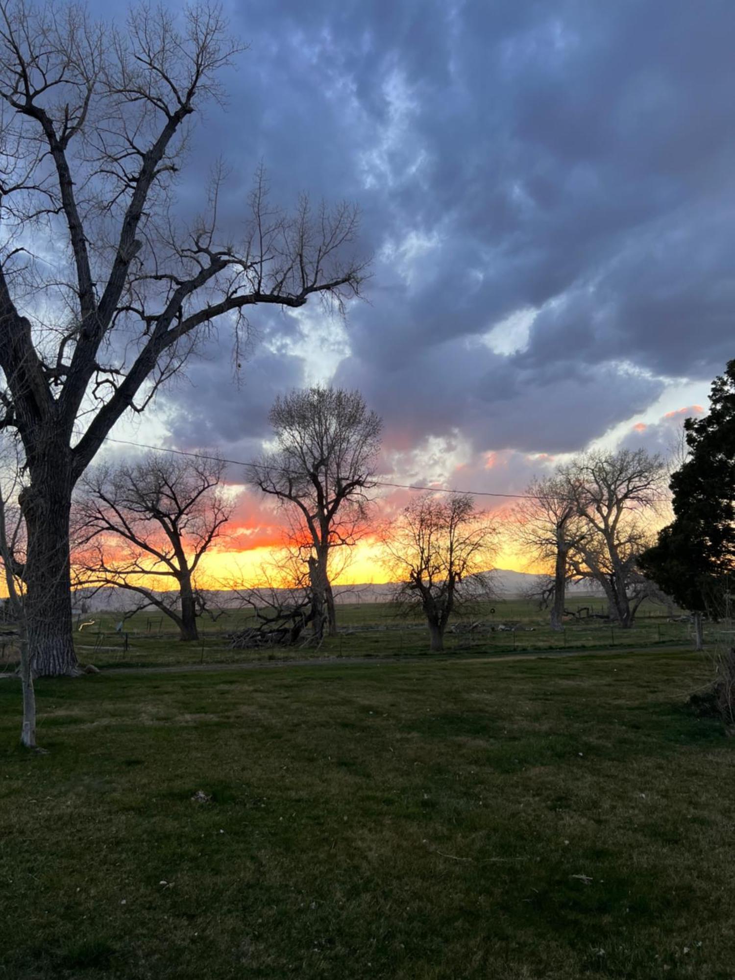 Hudson House Bed And Breakfast Wheatland Екстериор снимка